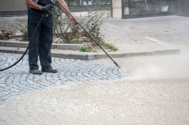 Best Sidewalk and Walkway Cleaning  in North York, PA