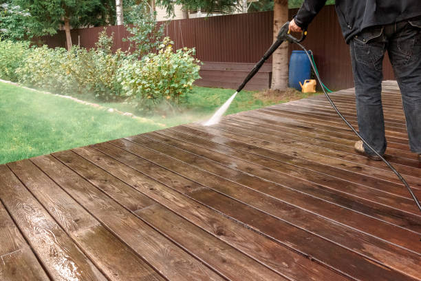 Best Paint Preparation  in North York, PA